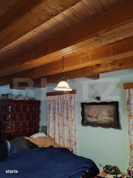 Cabana 3 camere + 1,7 ha teren , Spre Campul Cetatii - Imagine principală: 5/19