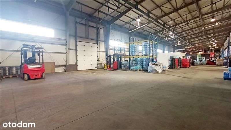 Magazyn - Kowale - Pełny obrazek: 4/6