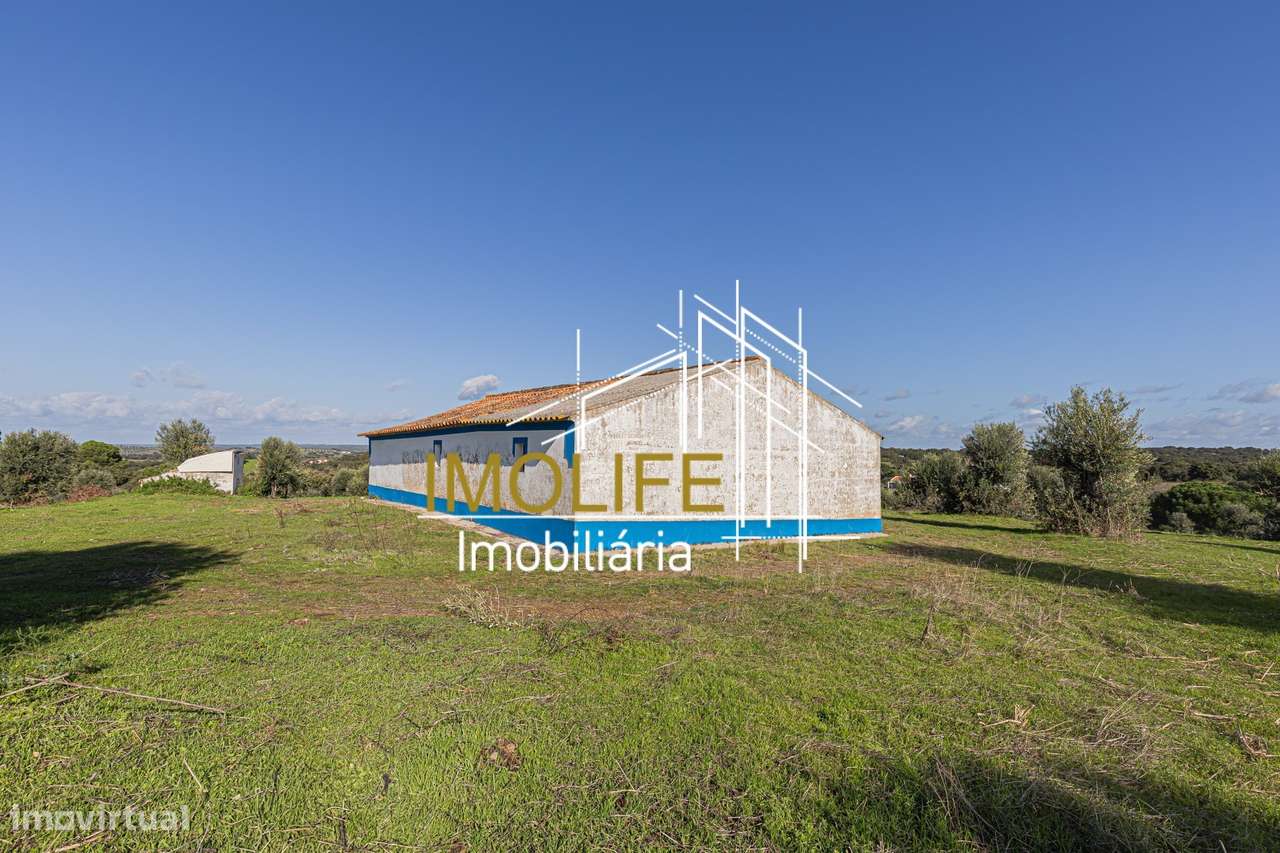 Monte Courela da Boavista - Tesas - Malarranha-49