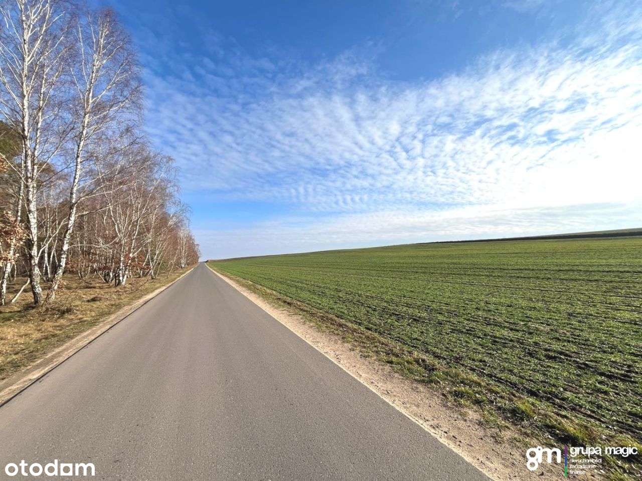 Działka, 12 818 m², Małszyce - Pełny obrazek: 4/8