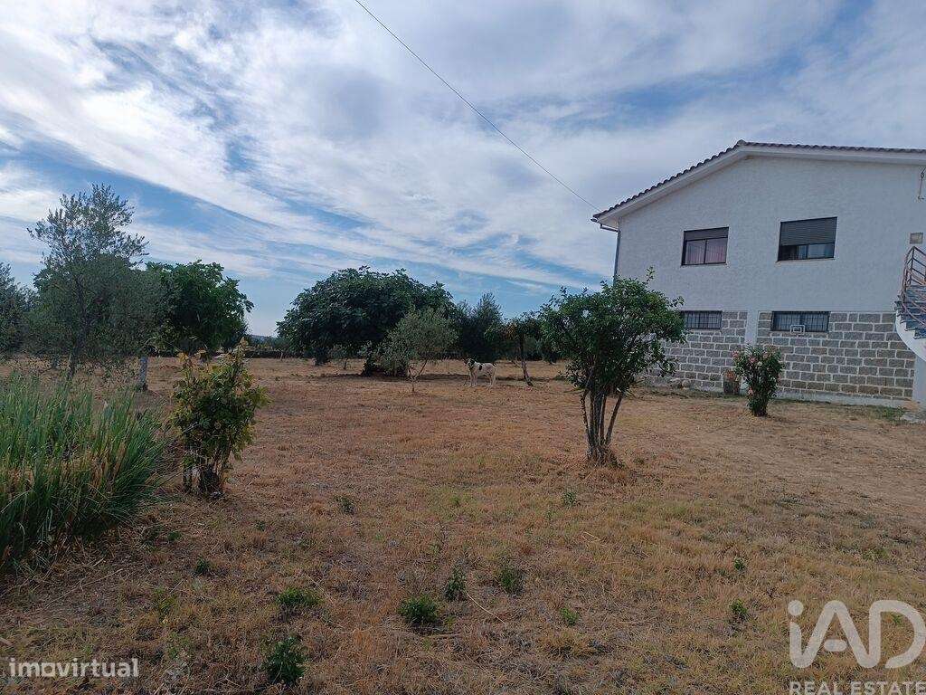 Casa / Villa T4 em Vimioso de 252,00 m2 - Grande imagem: 5/30