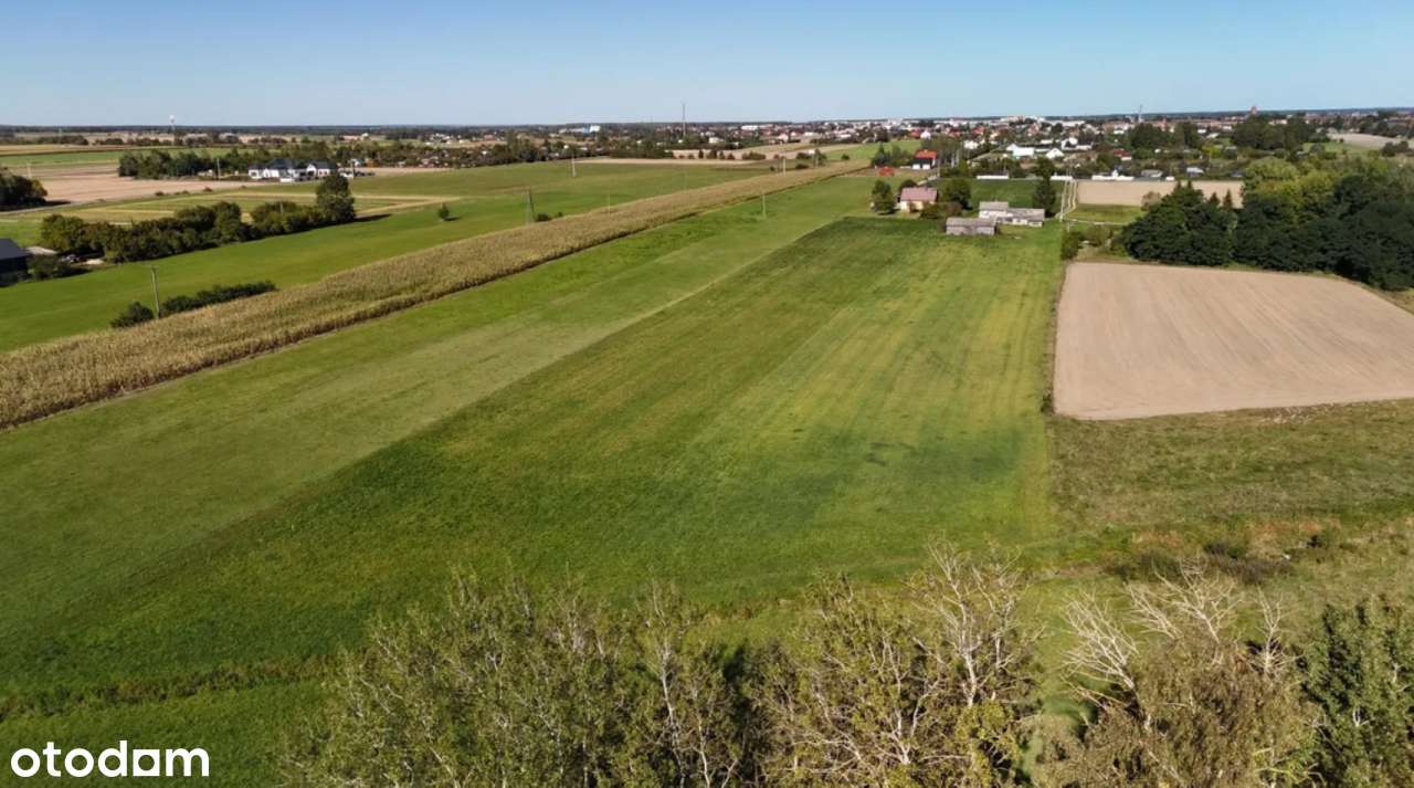 Działka 3000m2; Zambrów; ul. Stokrotki-8