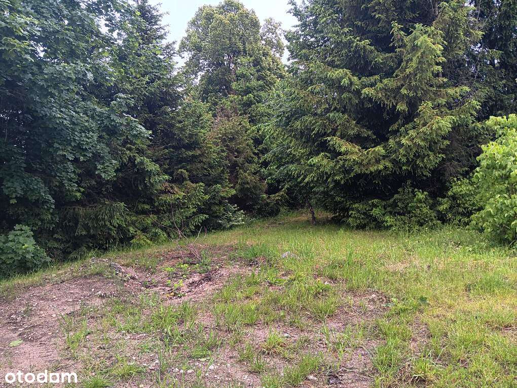 Działka budowlana w Nowym Barkoczynie obok lasu przy ulicy Pogodnej - Pełny obrazek: 4/7