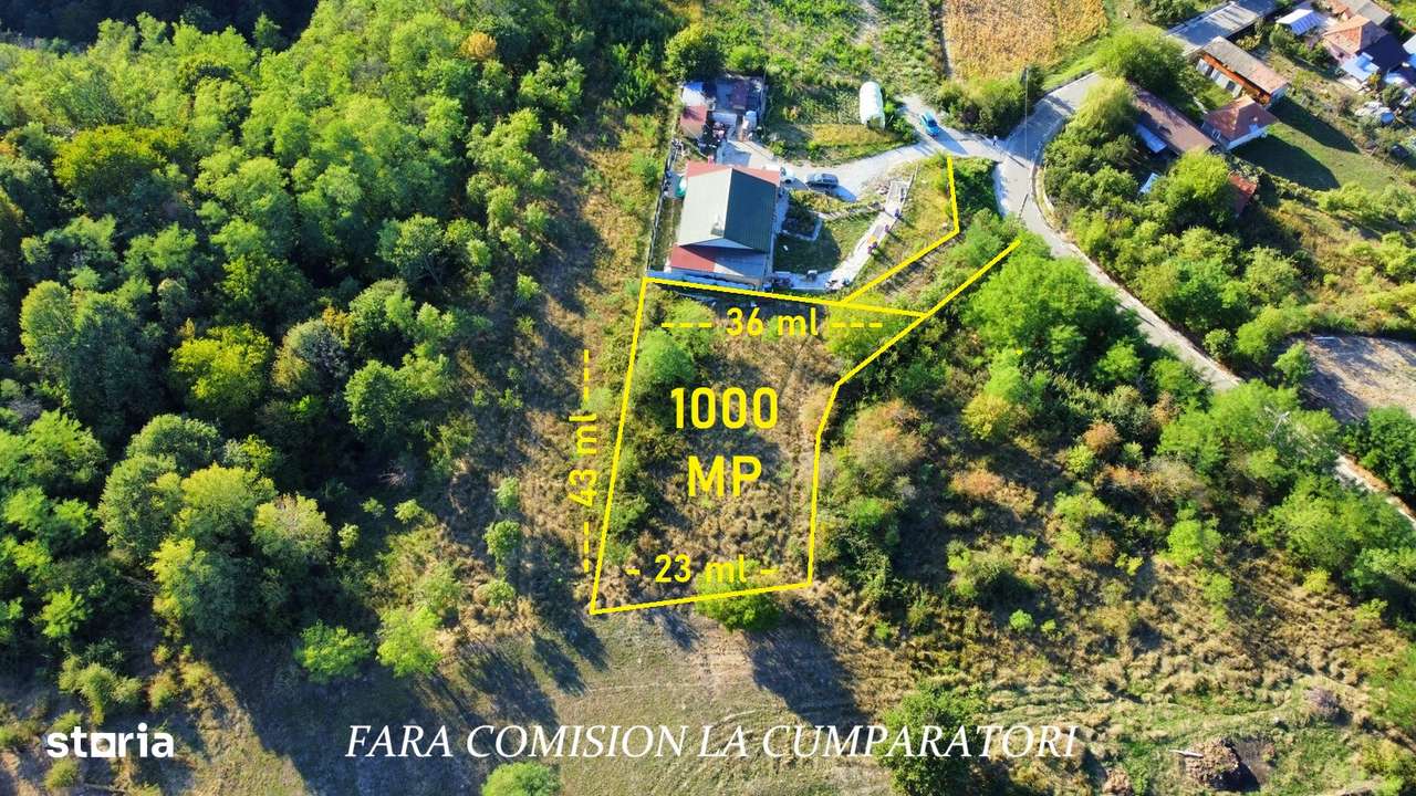 BUDESTI, TEREN 1000 MP, PRIVELISTE MINUNATA - Imagine principală: 3/13