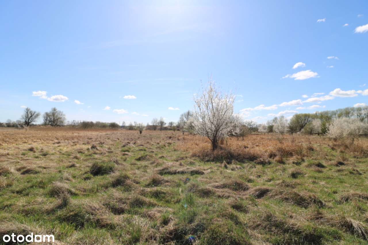 Działki w Słubicach – ul. Jastrzębia-12