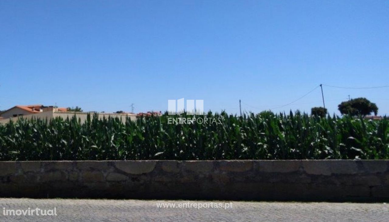 Venda de terreno com 1900m2, Lavra, Matosinhos