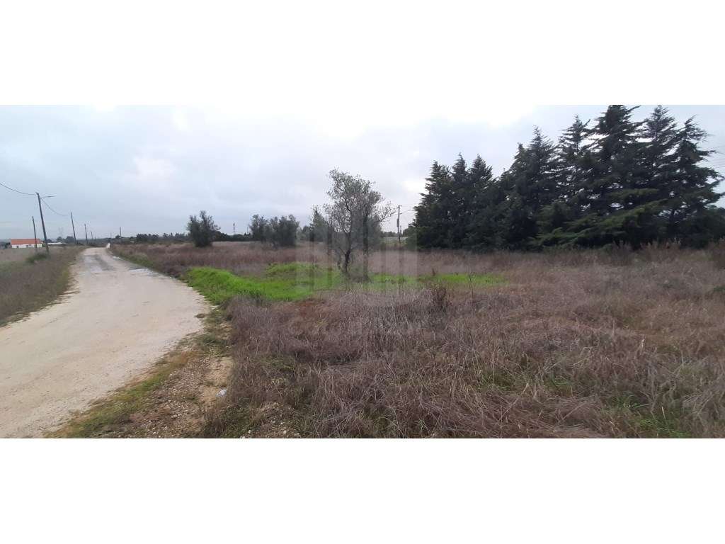 Terreno com 15.000 m² em Plena Natureza na Região de Palmela-5