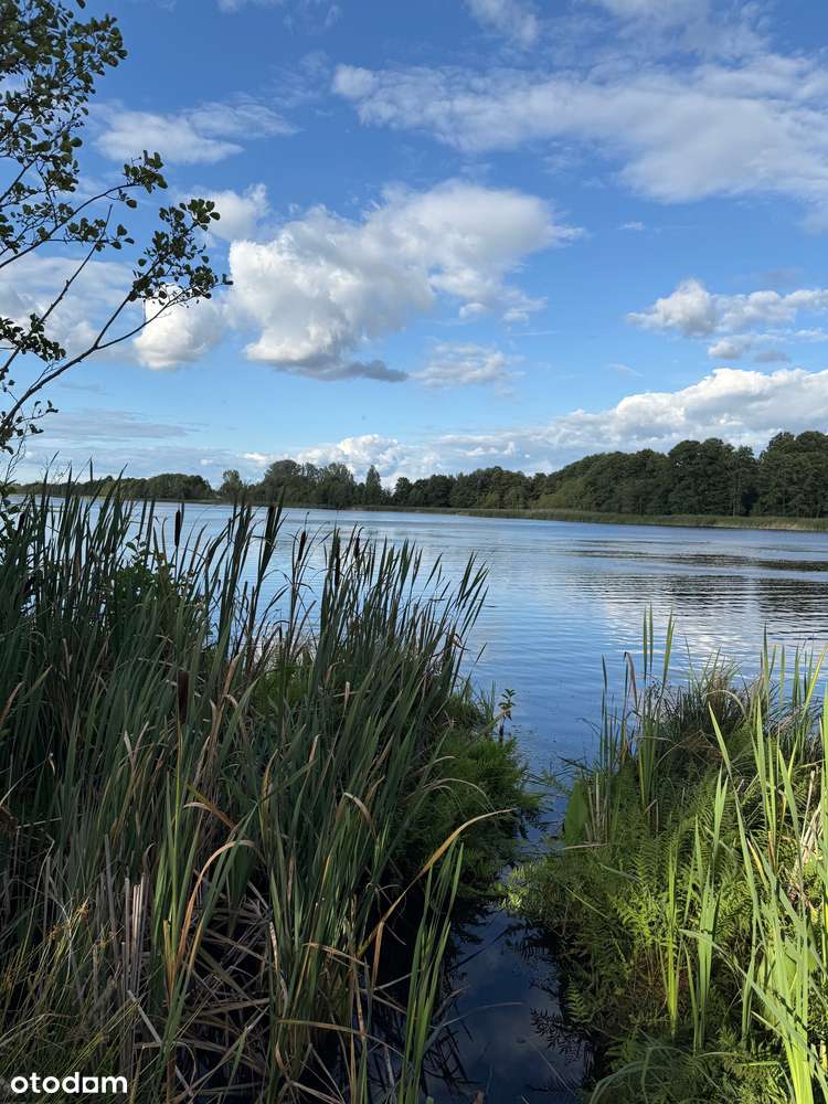 Działka z domem nad jeziorem, z linią brzegową 120 km od Warszawy