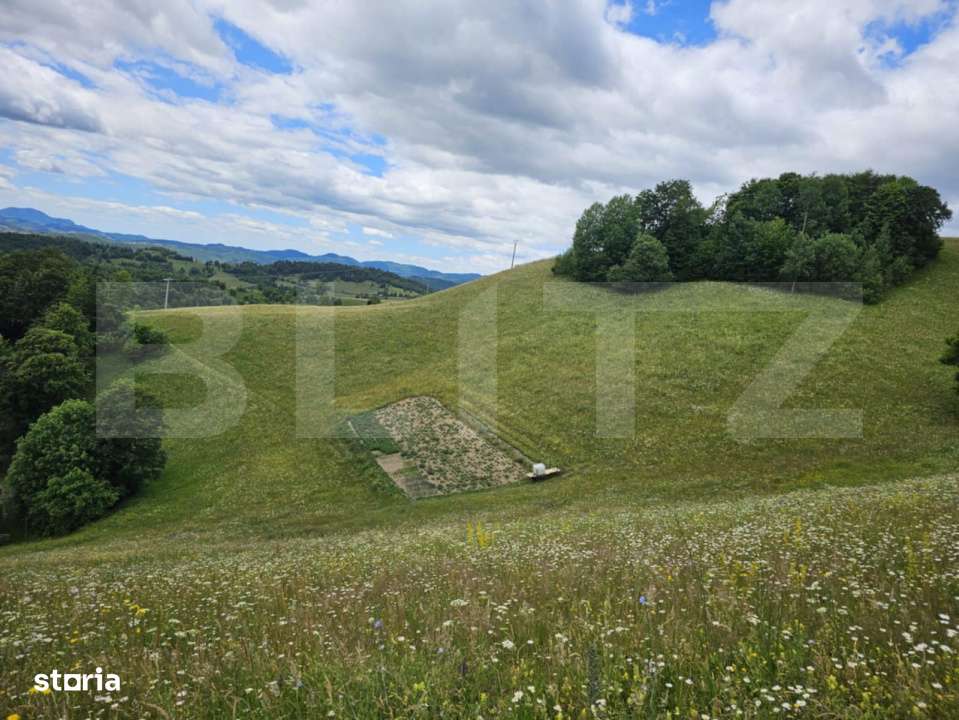 Teren extravilan de 14331 mp, zona montana, Certege, Campeni - Imagine principală: 5/7