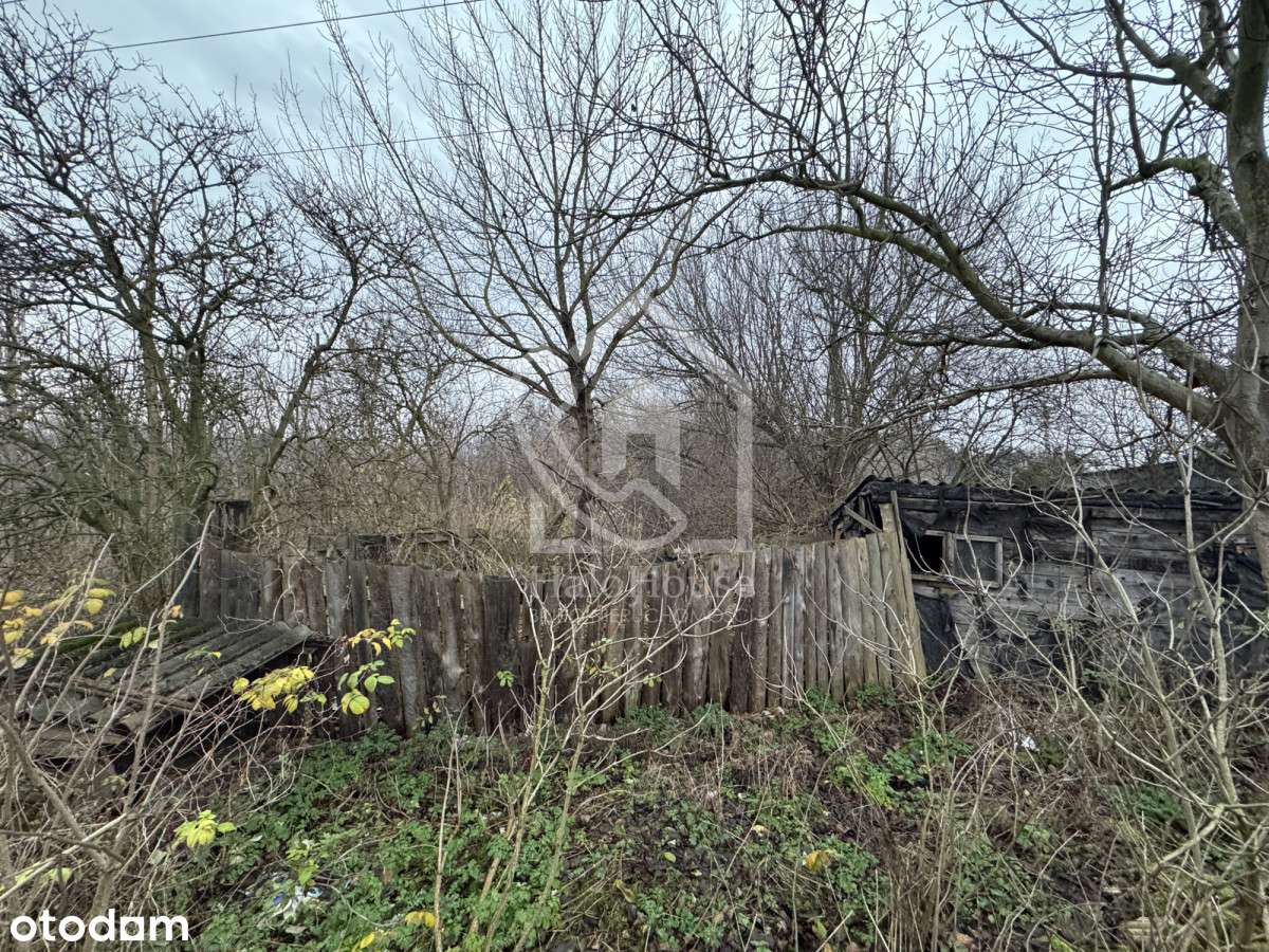 Dom do kapitalnego remontu | Duża działka |-2