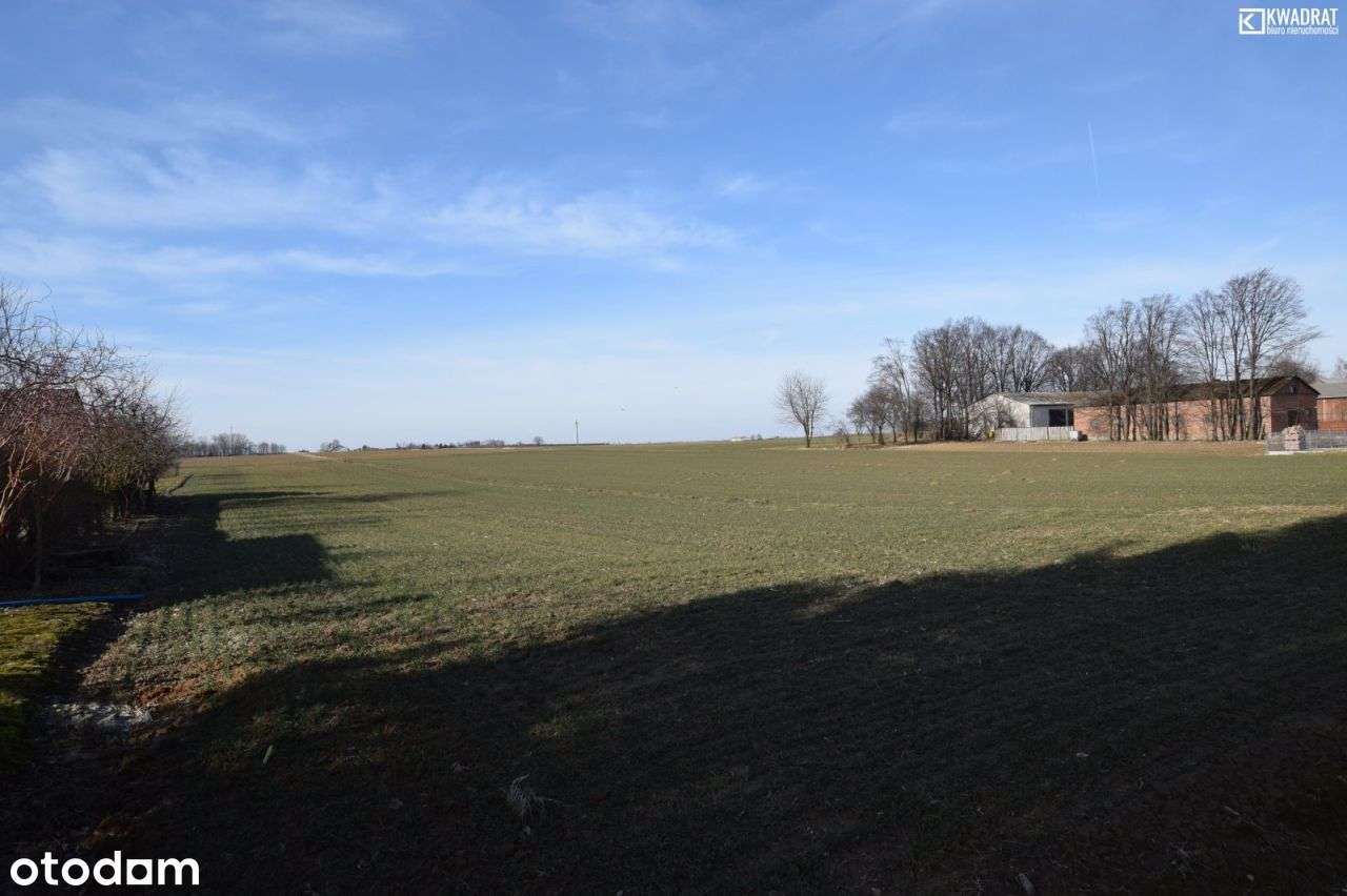 Ignaców/ 20 ar/ działka budowlana - Pełny obrazek: 5/5