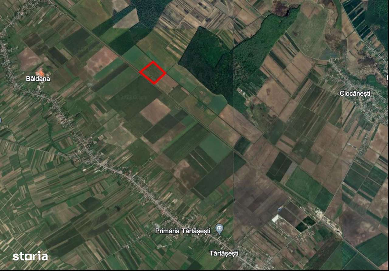 Teren agricol 13,5 hectare | Tartasesti | Ciocanesti | DB - Imagine principală: 1/3