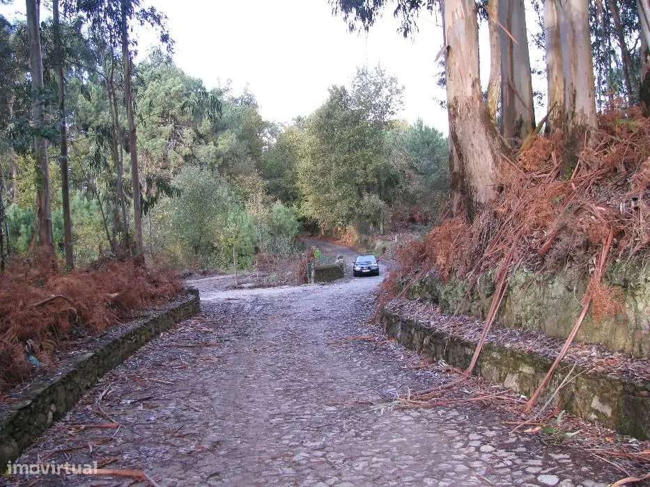 Terreno  Venda em Seixas,Caminha - Grande imagem: 2/10