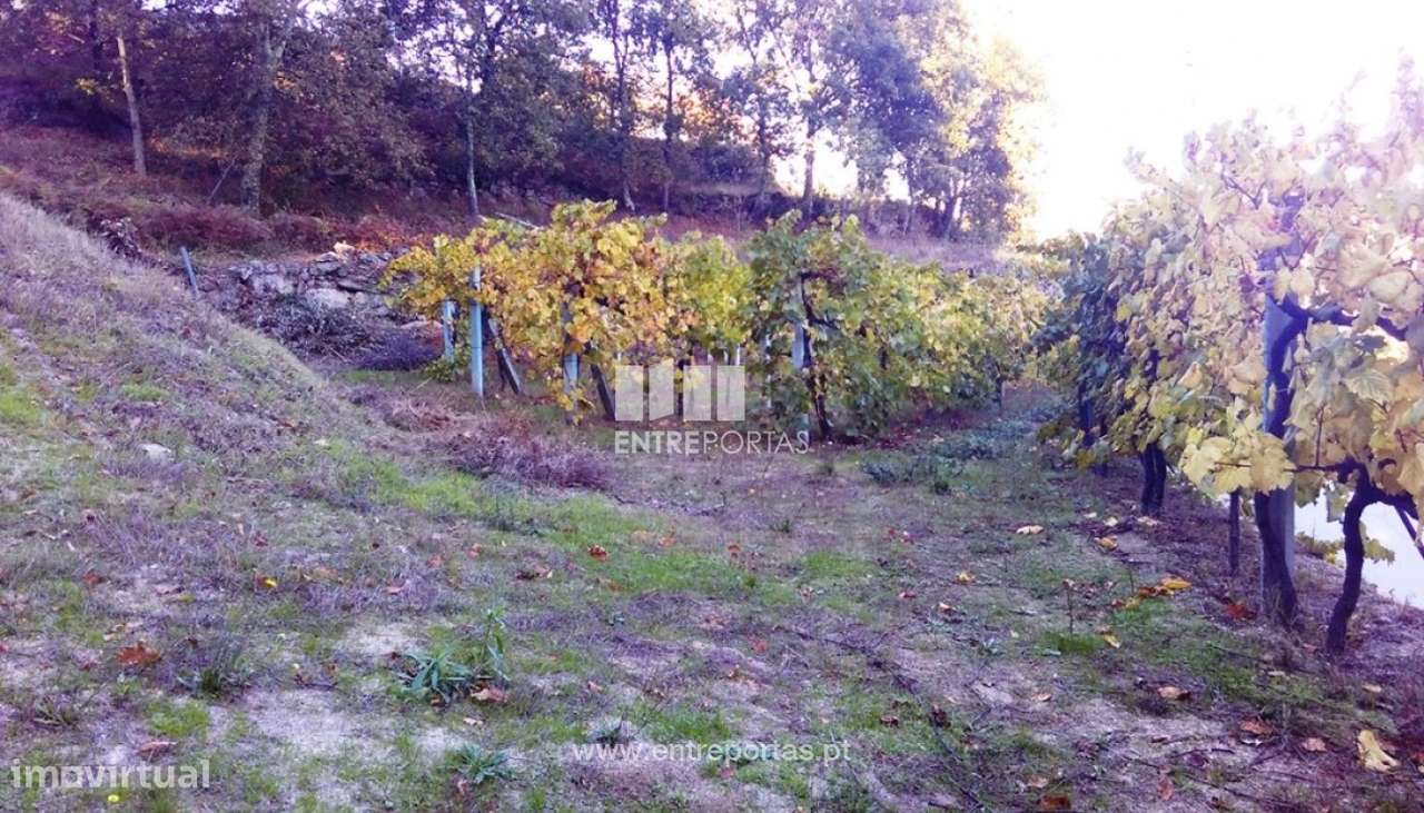 Venda Terreno, Paredes  de Viadores, Marco de Canaveses - Grande imagem: 3/12
