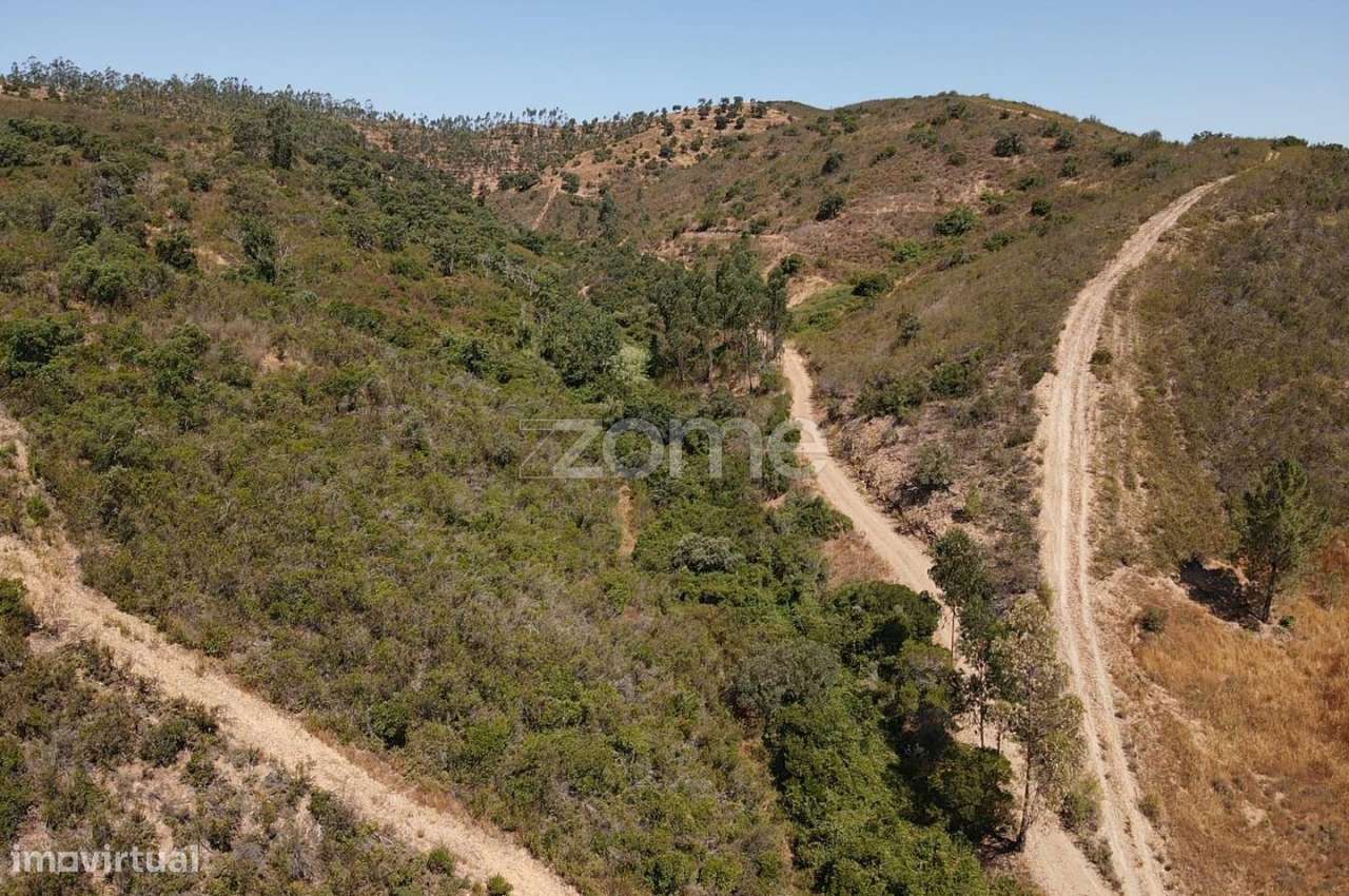 Terreno Rústico em Cadaval com 7.360m2 em S.B.Messines - Grande imagem: 5/15