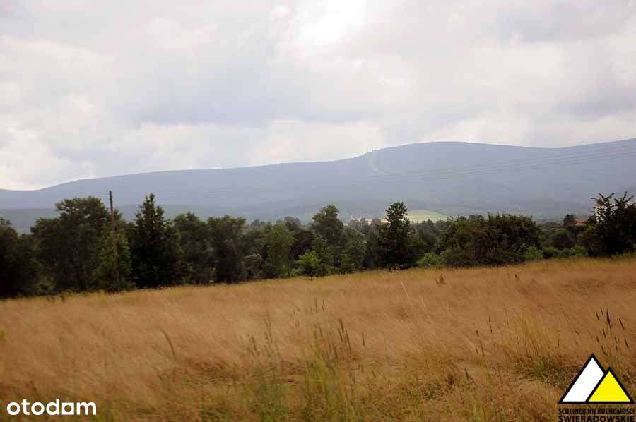 Blisko Wolimierza-15