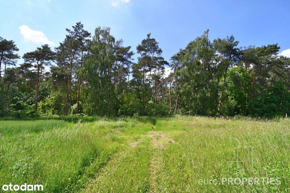 Działka z M.P.Z.P. nad jeziorem :: 197/3.8 - 1197m-7