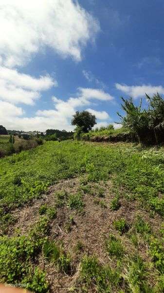 Terreno rustico p/ venda - Grande imagem: 5/11