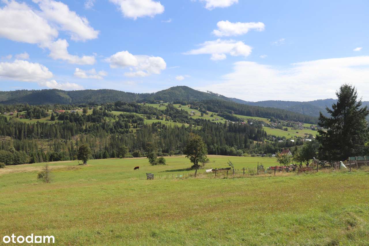 Działka do zabudowy - widok na las i Smereków Mały i Wielki - Pełny obrazek: 4/6