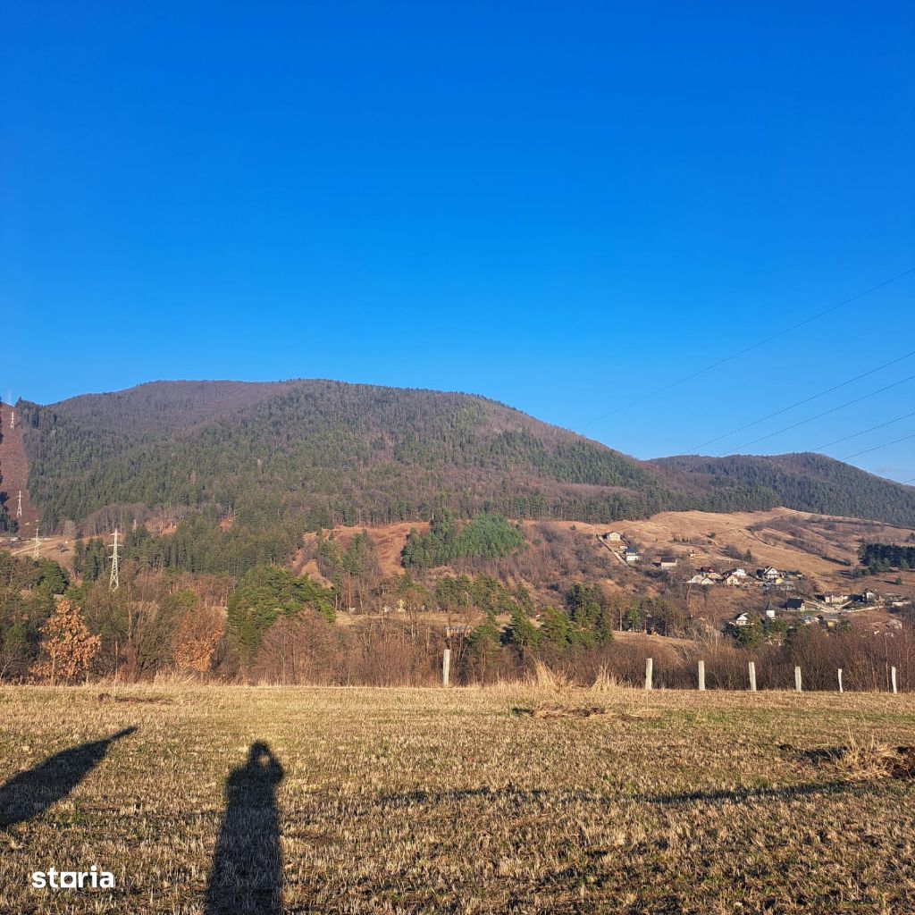 Teren Intravilan zona Bistrita