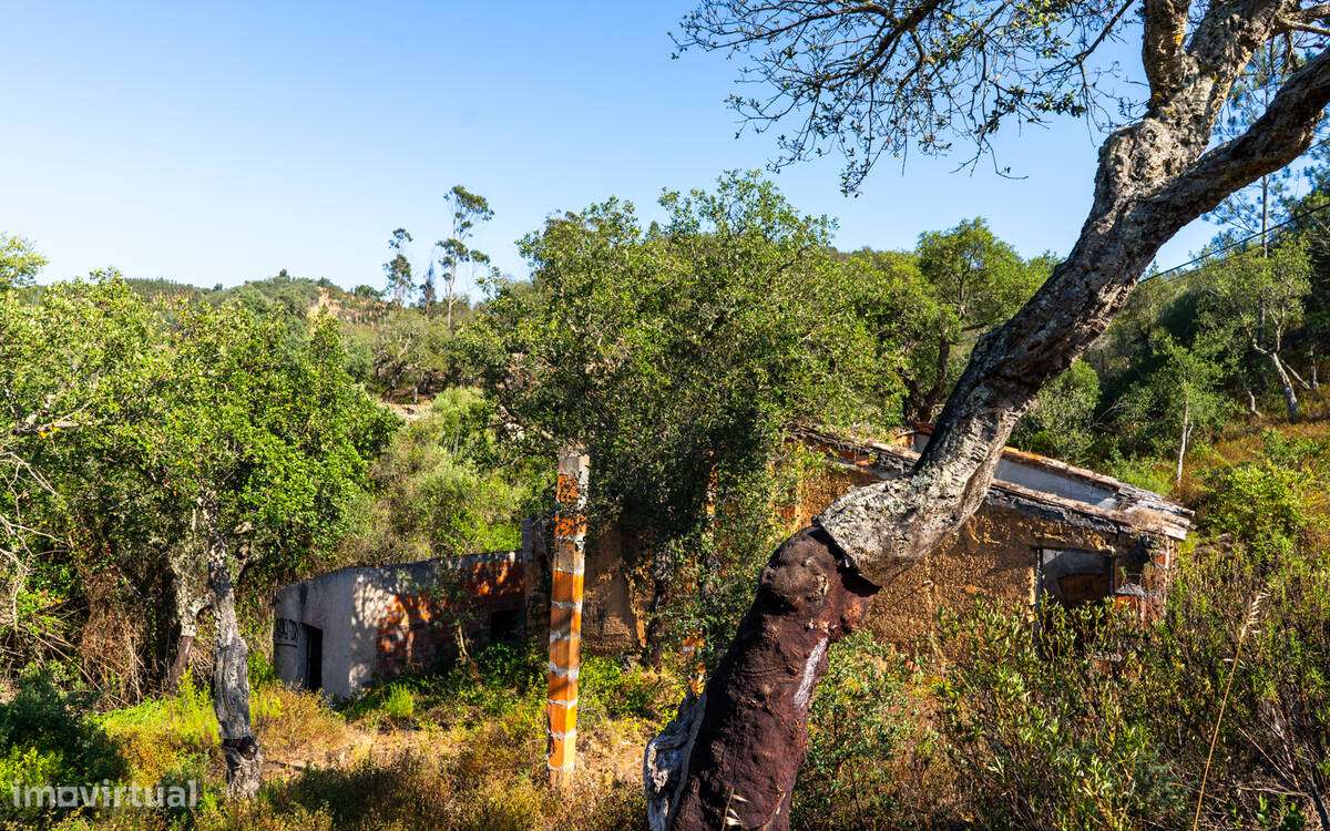 Herdade Moinho Corisco-7