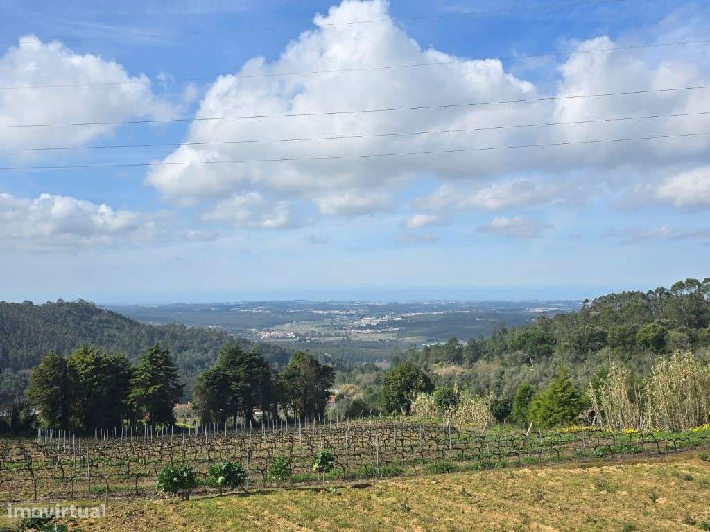 Moradia T3 com terraço, terreno e arrecadação para remodelar, Folgo...-7