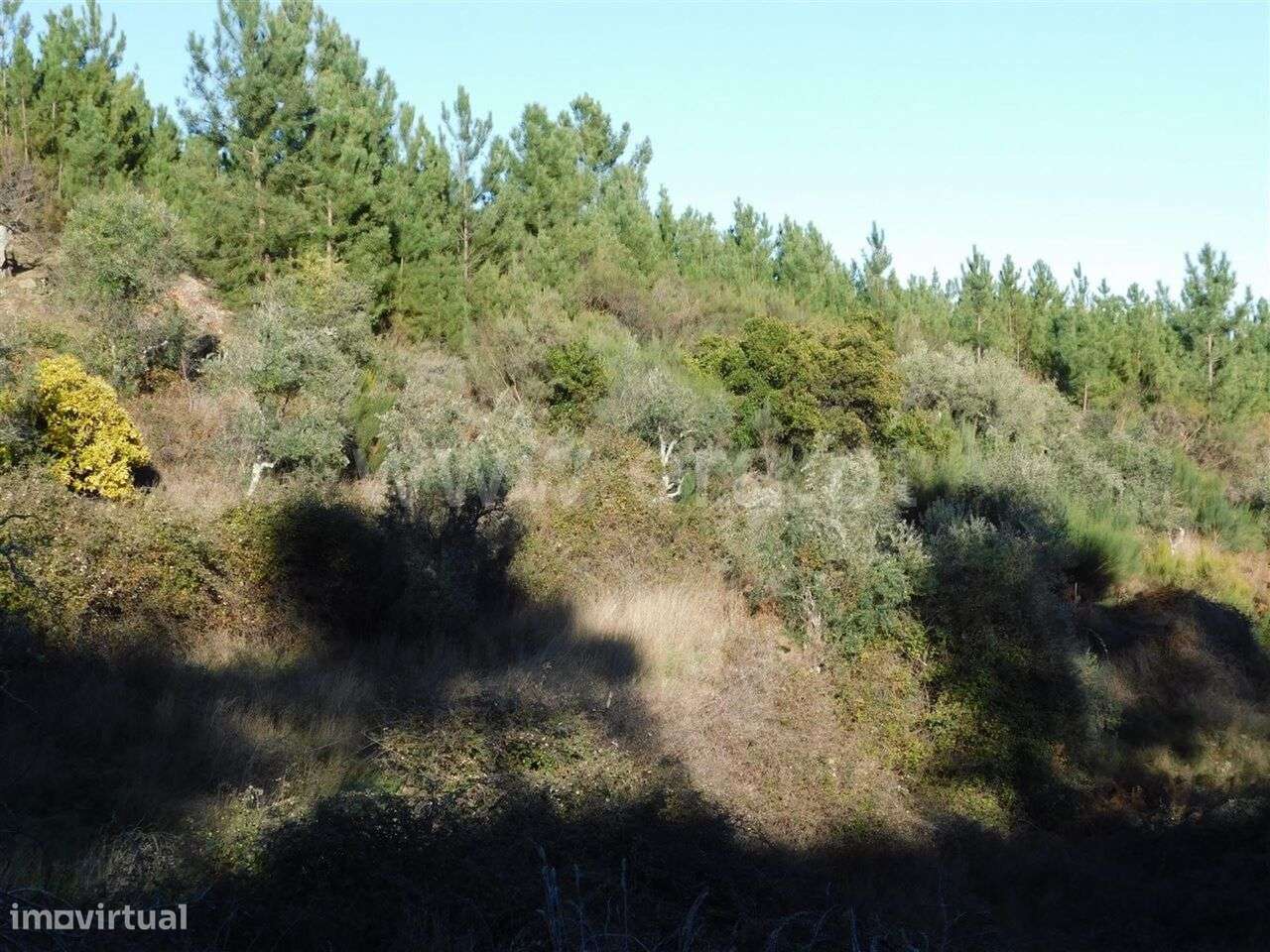 Terreno / Covilhã, Aldeia de São Francisco de Assis - Grande imagem: 5/7