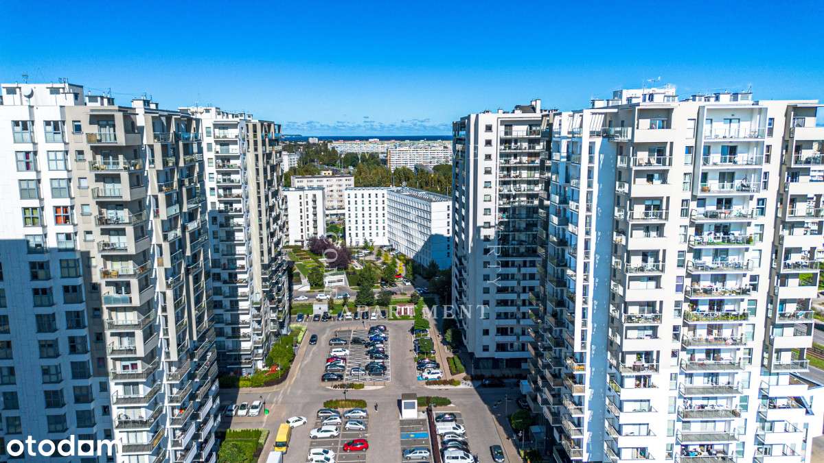 Albatross | Zysk i Ogród!-10