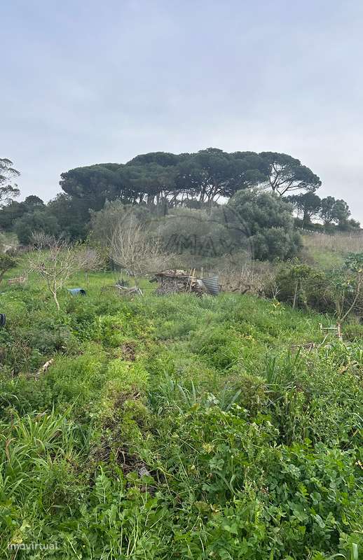 Terreno  para venda - Grande imagem: 3/4