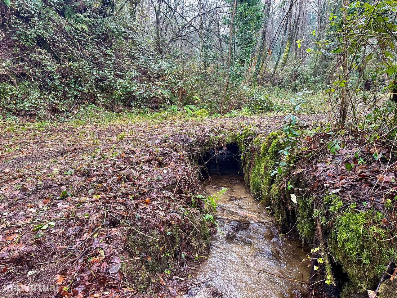 Quinta  Venda em Bustelo, Carneiro e Carvalho de Rei,Amarante - Grande imagem: 5/20