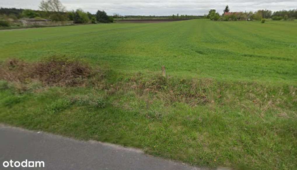 Działka rolna 3ha - Józefów - Pełny obrazek: 4/5