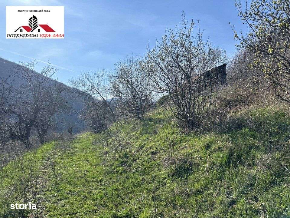Teren intravilan - extravilan 9,3 Ha de vanzare Matacina Jud Alba - Imagine principală: 5/16