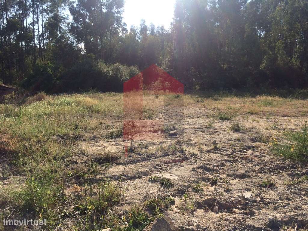 Terreno para construção, Gondiães - Grande imagem: 4/6