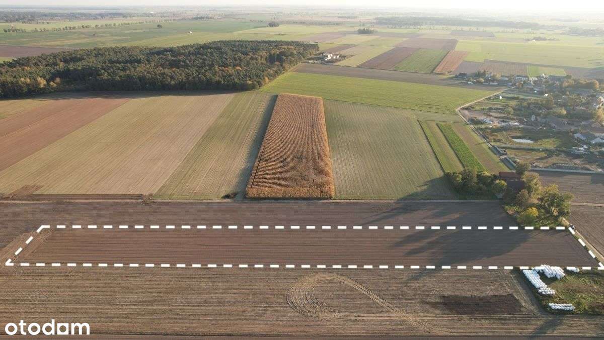 Gospodarstwo rolne (2,5439 ha) Strzępiń-4