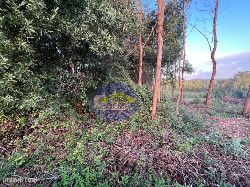 Lote para moradia em Serzedo - Grande imagem: 3/13