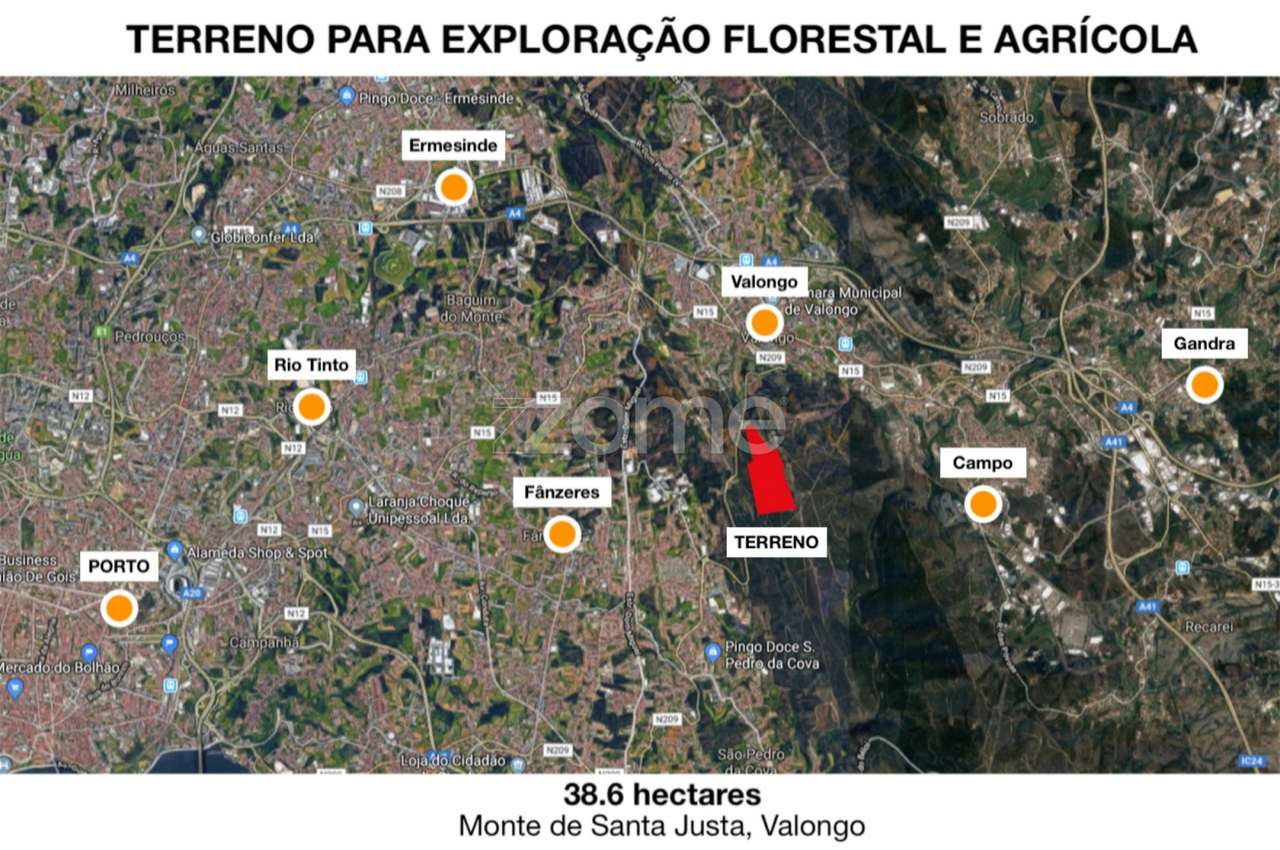 Terreno para exploração florestal e agrícola - Santa Justa, Valongo - Grande imagem: 4/19