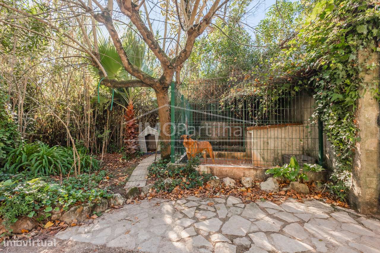 Quinta de Charme com Jardim romântico e Piscina em Mafra-5