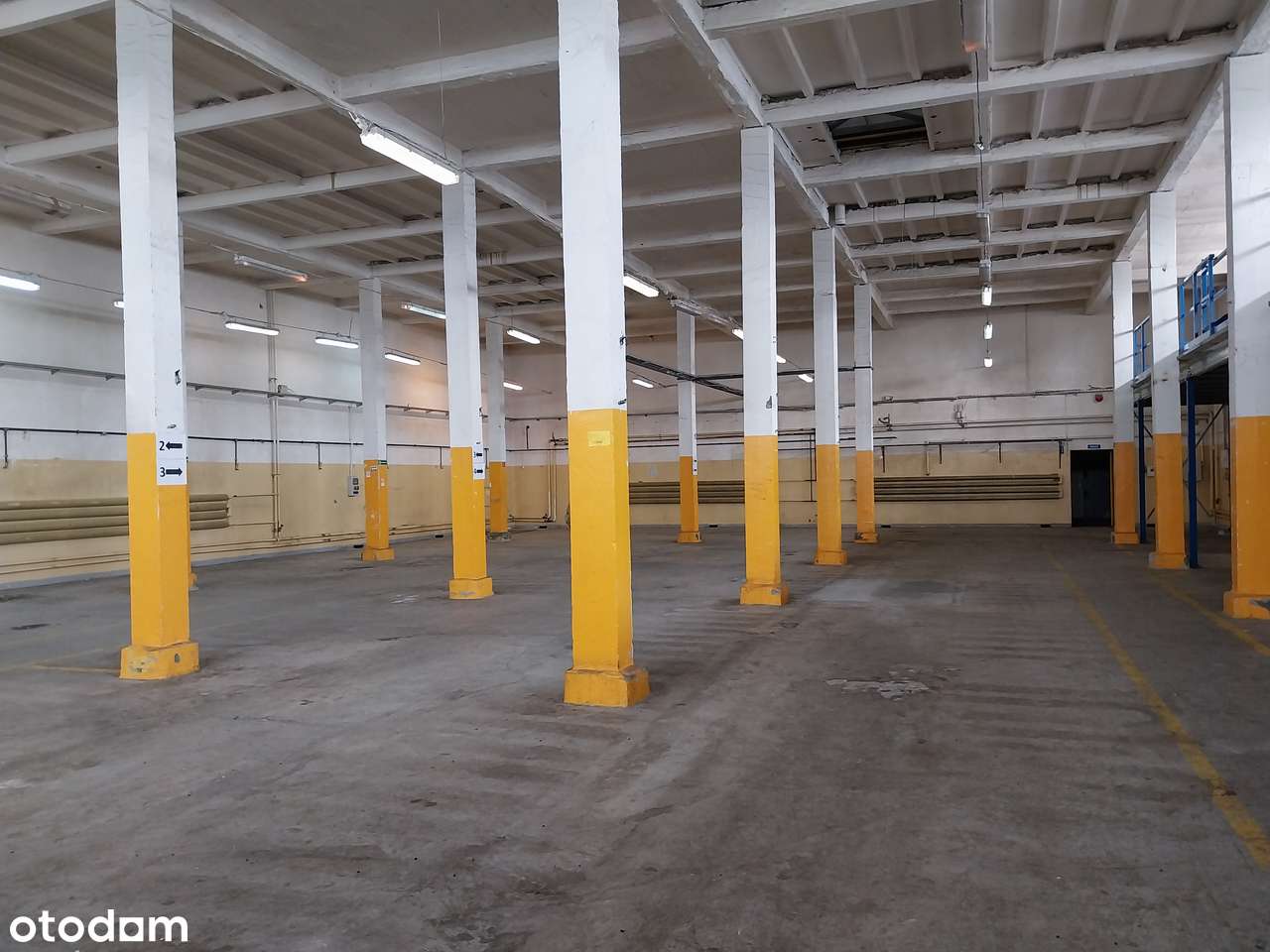 hala produkcyjno-magazynowa do wynajęcia - Pełny obrazek: 2/9