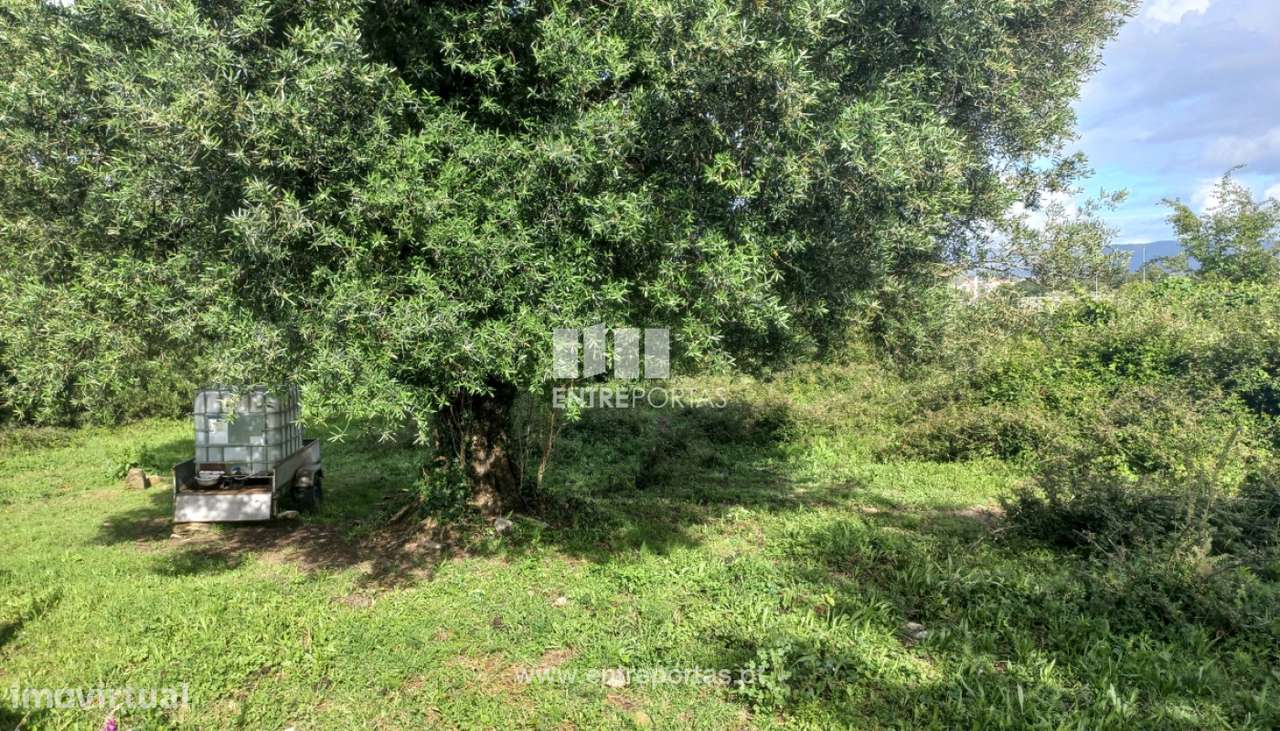 Venda de Terreno para construção com 7079m², Meadela, Viana do Cast - Grande imagem: 2/15