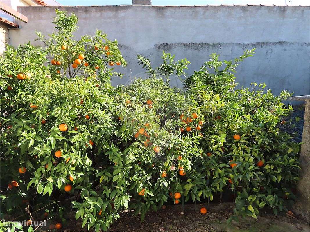 Moradia T2 para venda-21