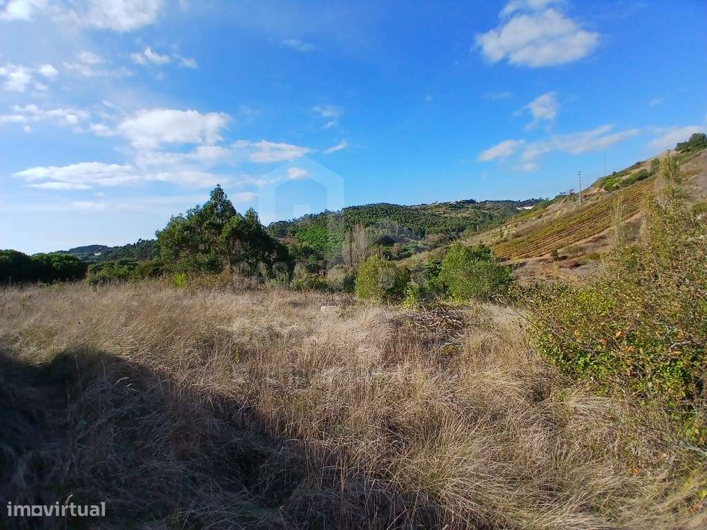 Vende Terreno - Ericeira a 6 km, A Casa das Casas - Grande imagem: 4/18