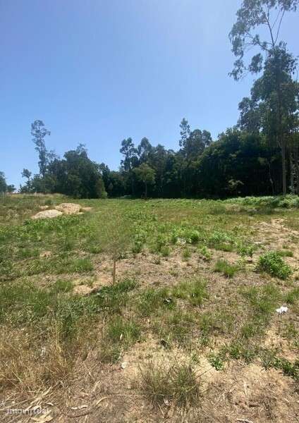 Terreno para Construção em Santa Maria da Feira - Grande imagem: 3/5