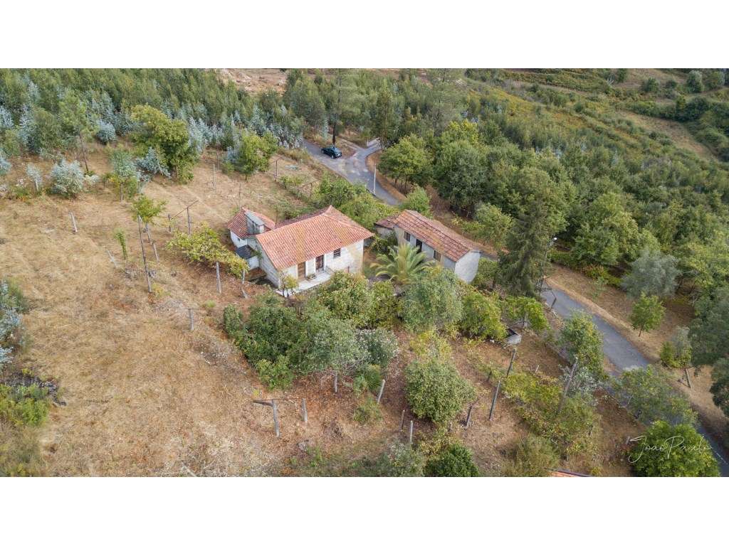 Quinta em Nogueira Paraíso Castelo de Paiva-17