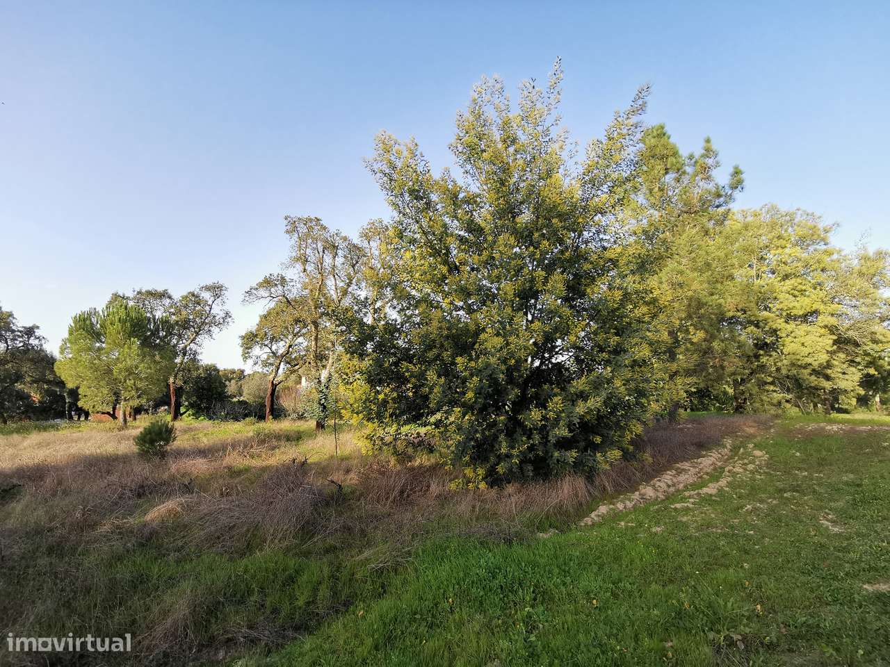 Moradia T2  Lamarosa de Coruche-30