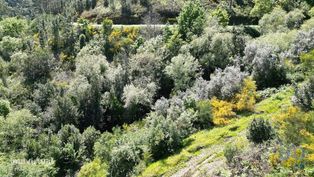 Terreno para construção em São Miguel, Santa Eufémia e Rabaçal - Grande imagem: 5/30