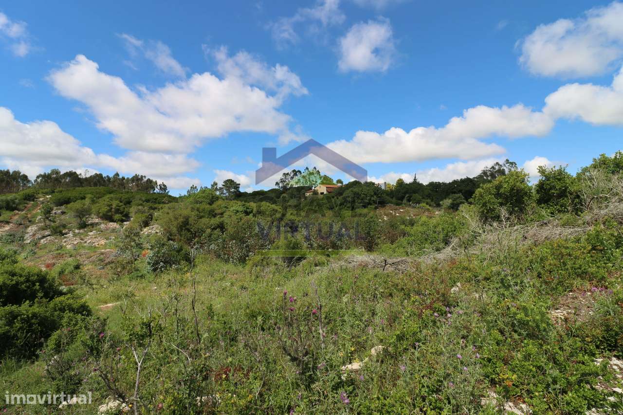 Terreno Rústico c/ 16.520 m2 Reguengo Pequeno - Lourinhã-22