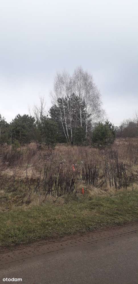 SANTOCKO DZIAŁKA BUDOWLANA 1276 m2-4