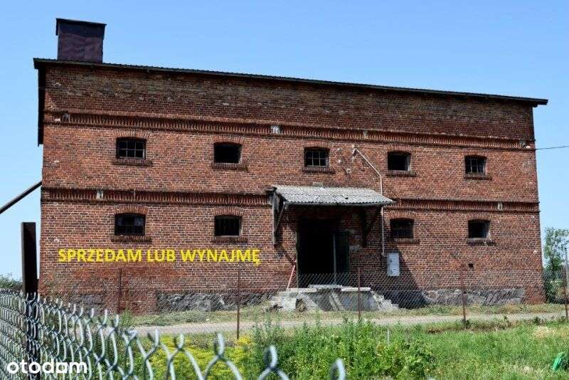 Sprzedam magazyn zbożowy nowy dach 3 kondygnacje - Pełny obrazek: 4/20