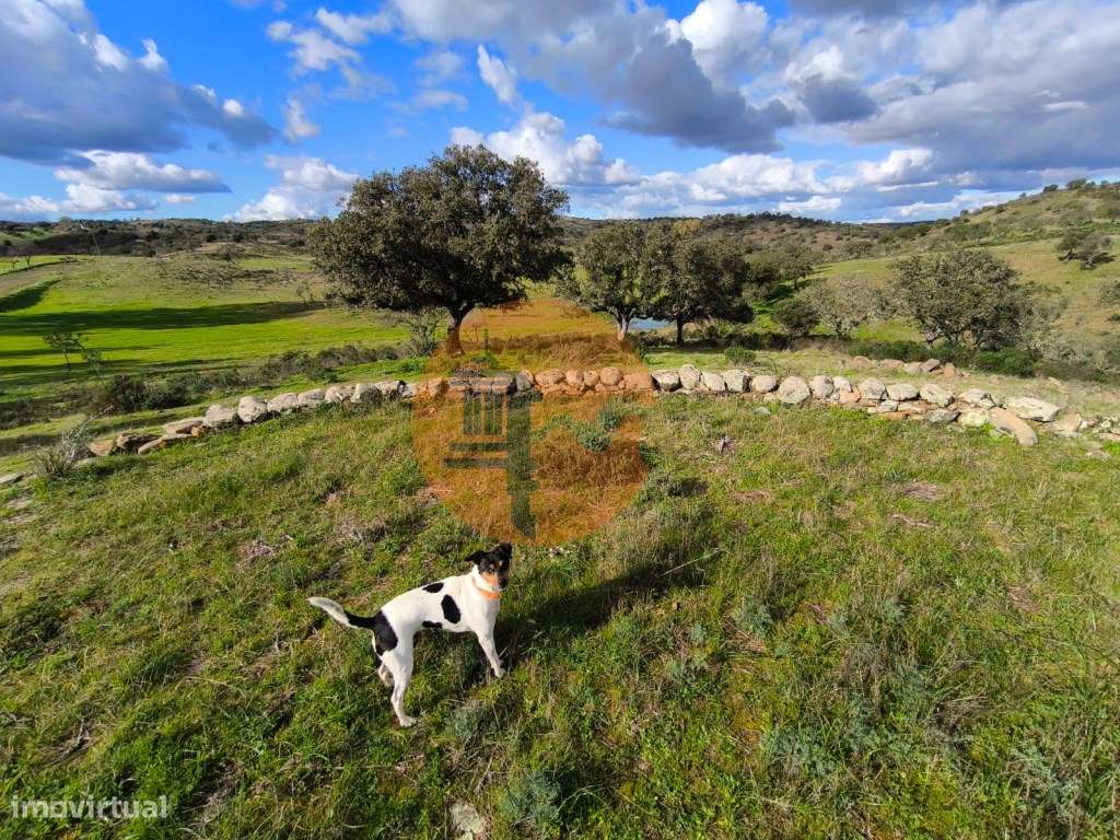 TERRENO RÚSTICO COM 20.520 M2 - VISTA RIO - COM POÇO - NA FOZ DE OD... - Grande imagem: 3/40