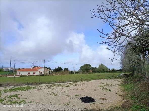 Terreno com Varias casas Cela Nova Alcobaça-Leiria-7